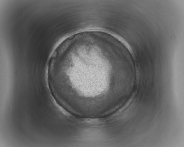 X0000112951006200909141404