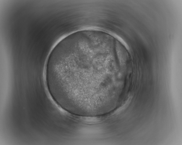 X0000112951007200909141404