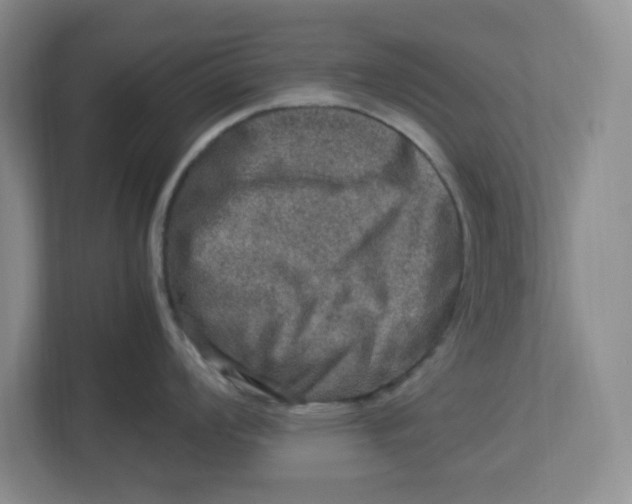 X0000112951008200909141404