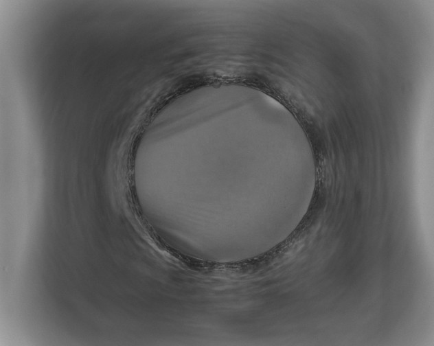 X0000112951009200909141403