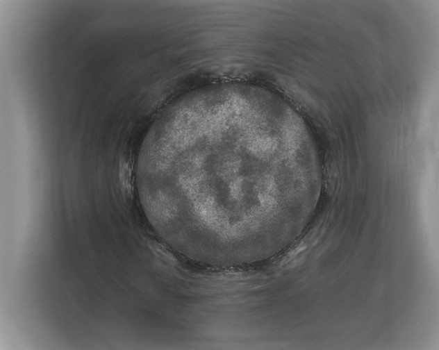 X0000112951010200909141403