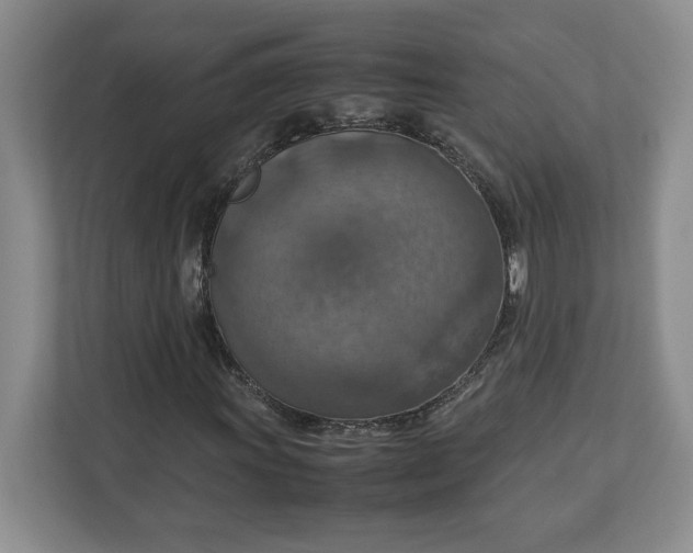 X0000112951011200909141403