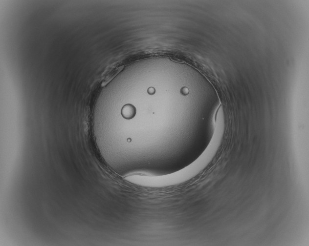 X0000112951012200909141403