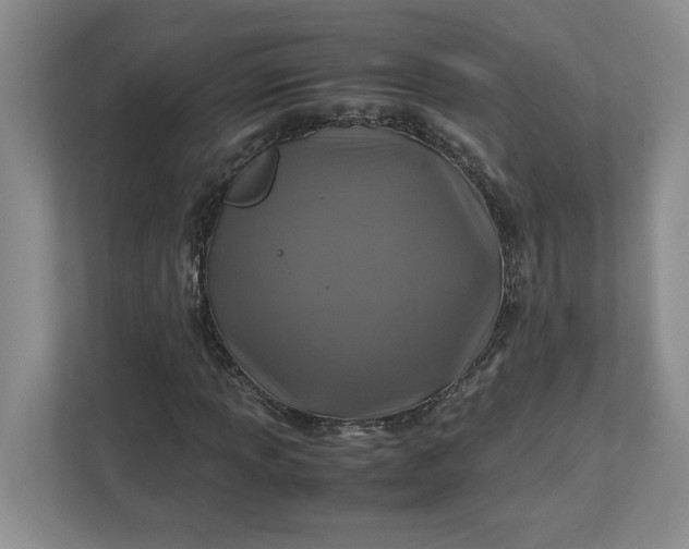 X0000112951013200909141403