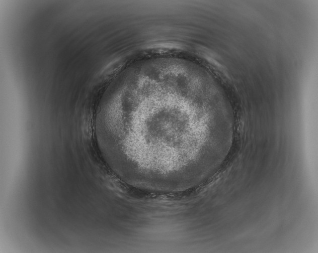 X0000112951014200909141403