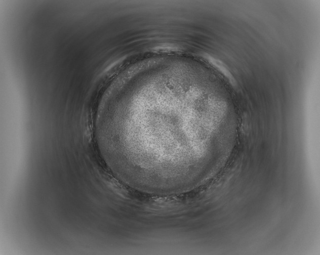 X0000112951015200909141403