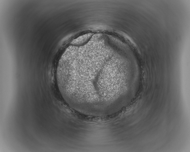 X0000112951016200909141403