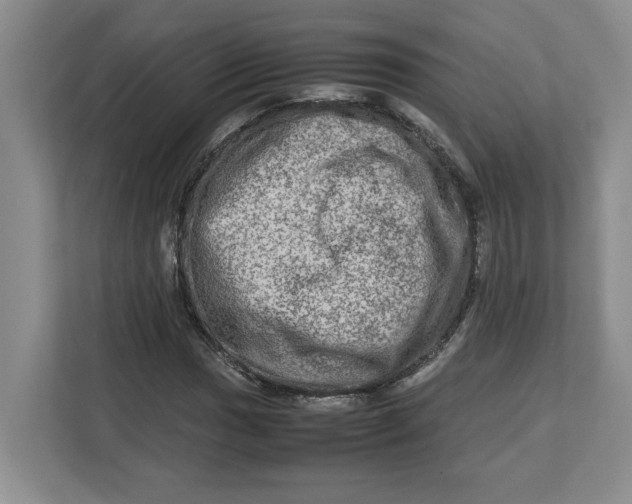 X0000112951017200909141403