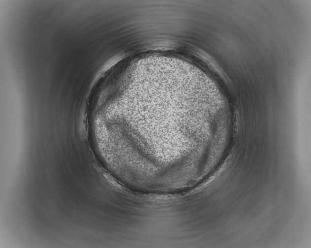 X0000112951018200909141403