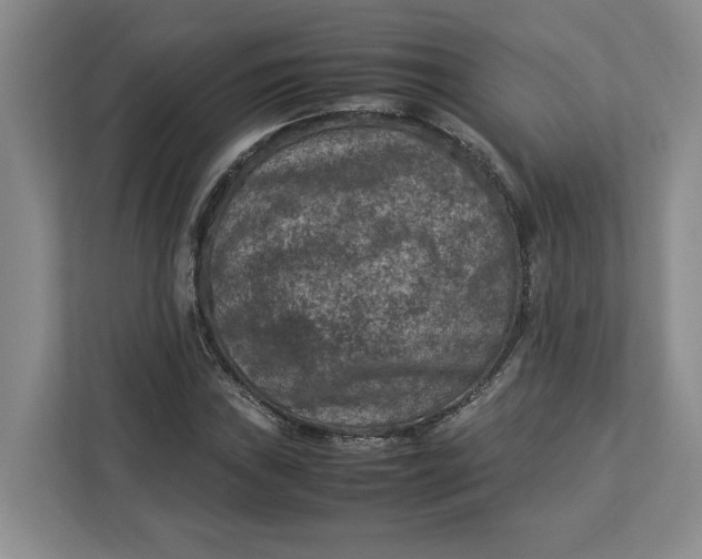 X0000112951019200909141403