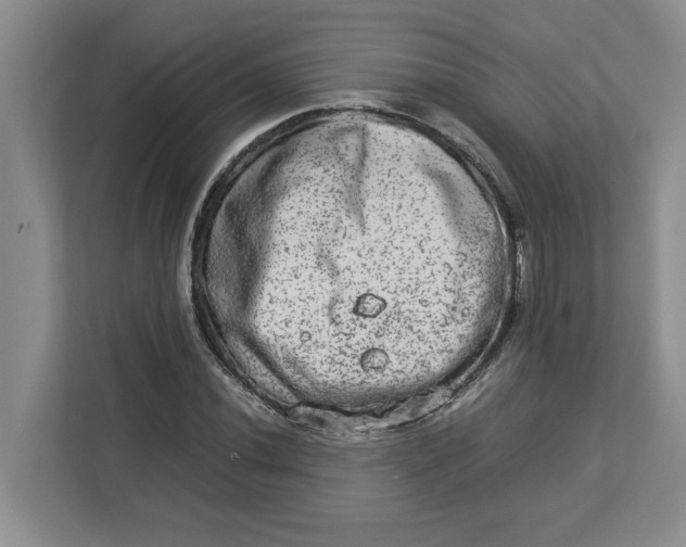 X0000112951020200909141403