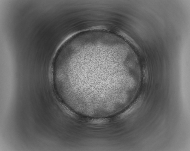 X0000112951021200909141403