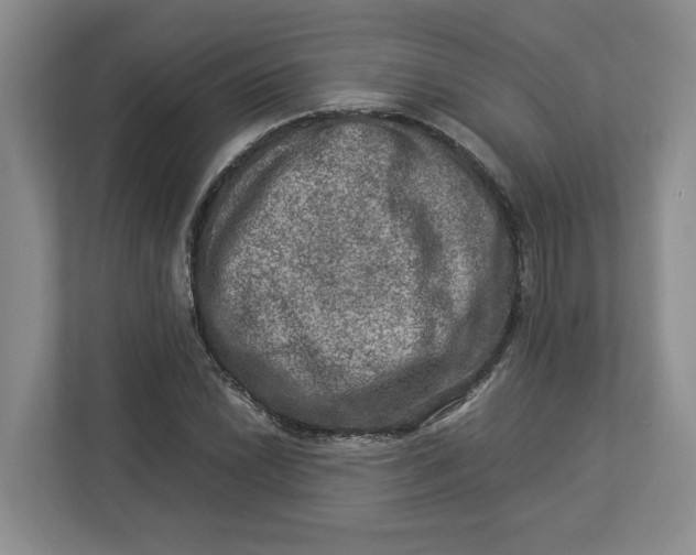 X0000112951022200909141403