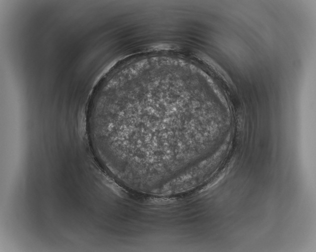 X0000112951023200909141403