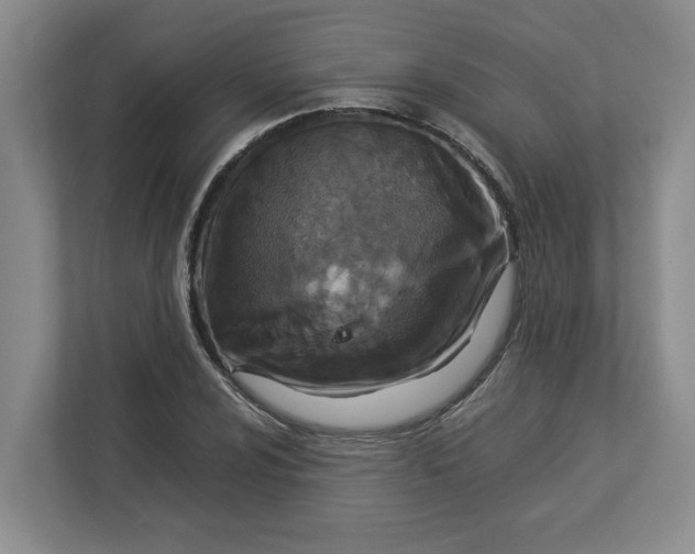 X0000112951024200909141403