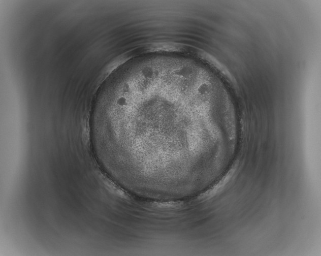 X0000112951025200909141403