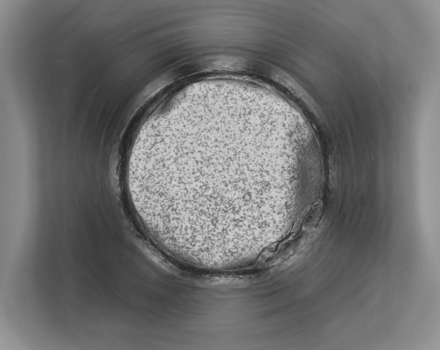 X0000112951026200909141403