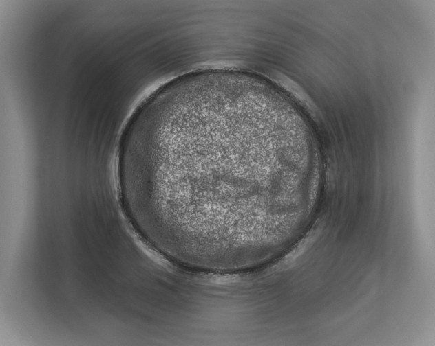 X0000112951030200909141403