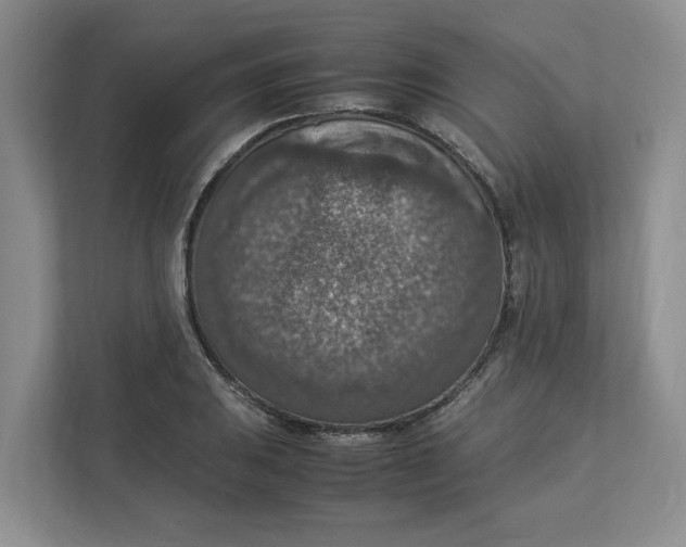 X0000112951031200909141403