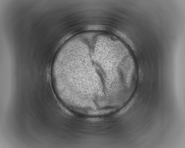 X0000112951033200909141403