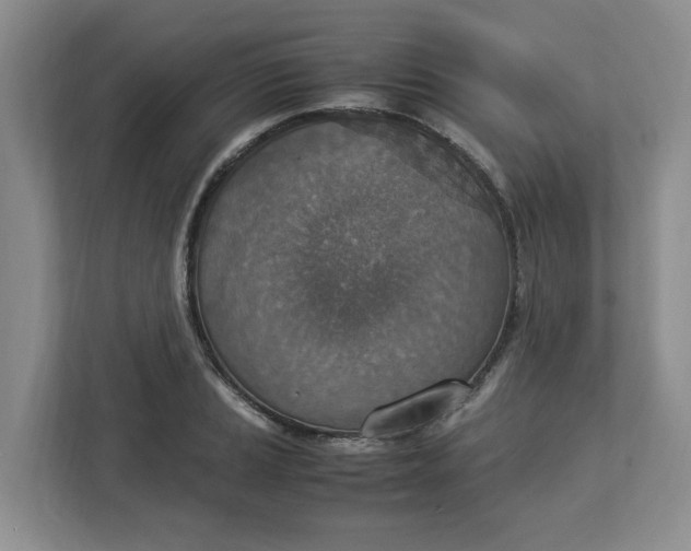 X0000112951037200909141403