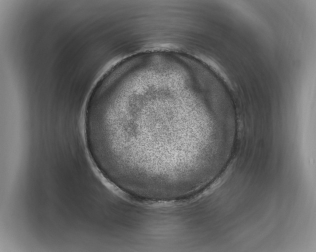 X0000112951038200909141403