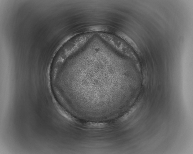 X0000112951039200909141403