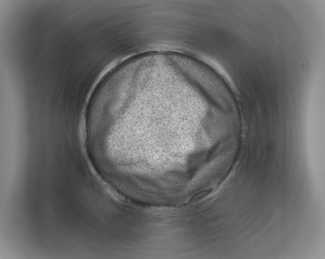 X0000112951040200909141403