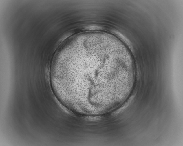 X0000112951041200909141403