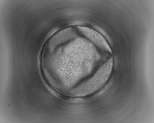 X0000112951042200909141403