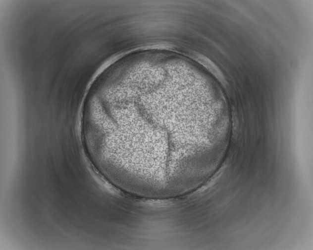 X0000112951044200909141403