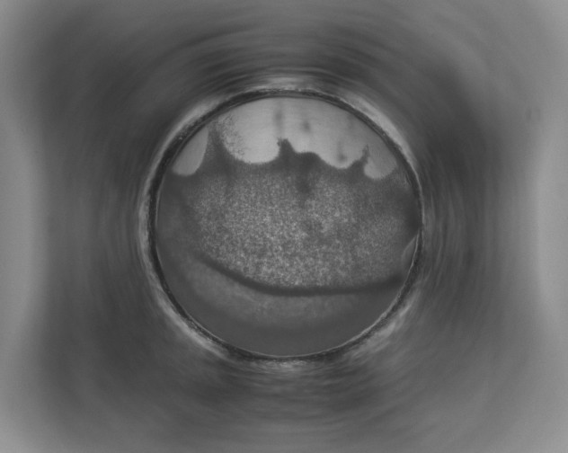 X0000112951045200909141403