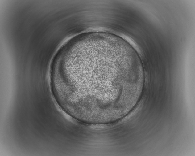 X0000112951046200909141403