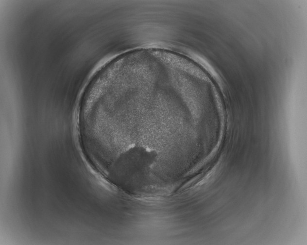 X0000112951048200909141403