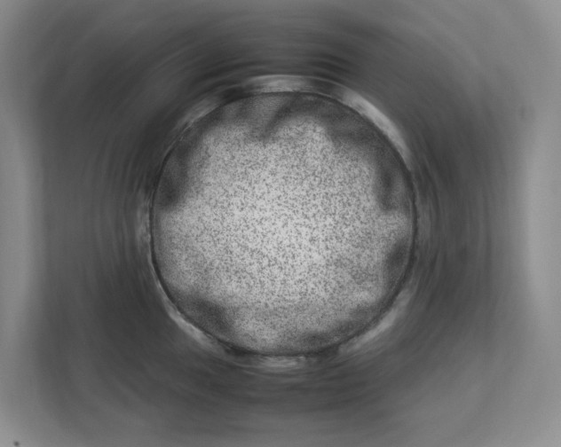 X0000112951049200909141403