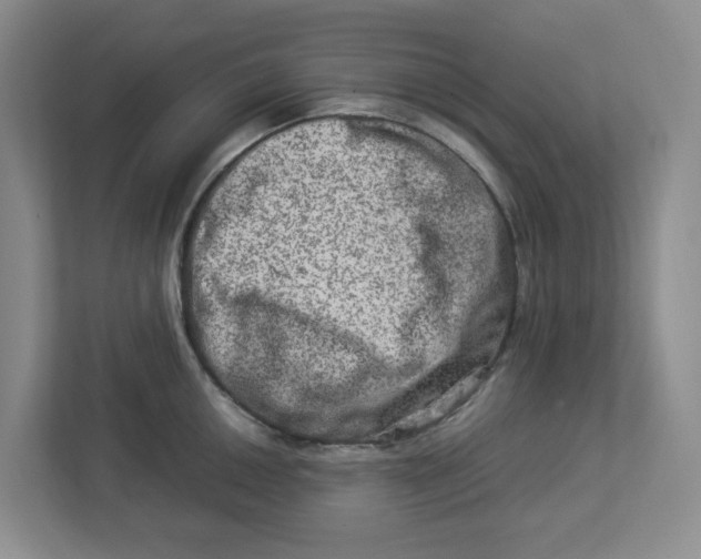 X0000112951050200909141403