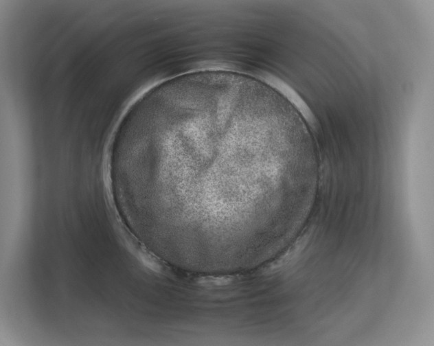 X0000112951051200909141403