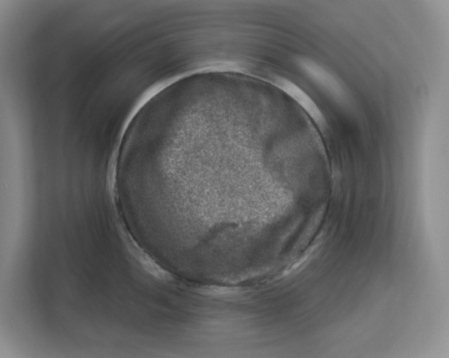 X0000112951052200909141404