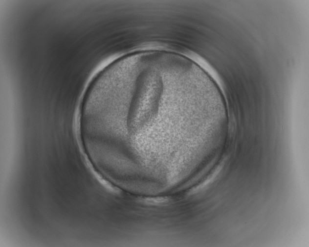 X0000112951053200909141404