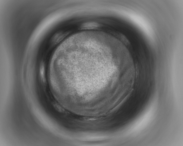 X0000112951054200909141404