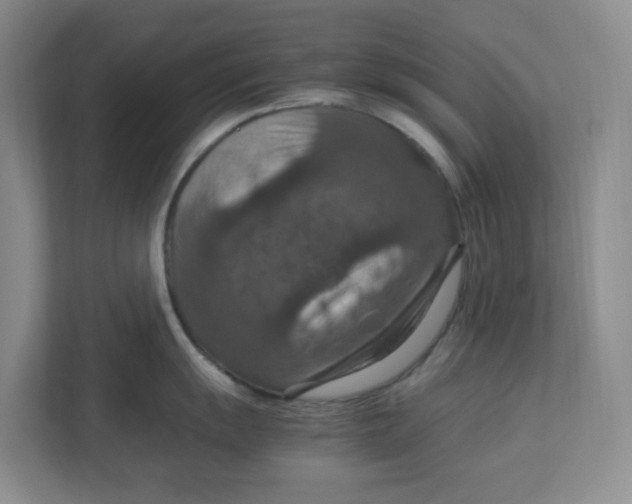 X0000112951055200909141404