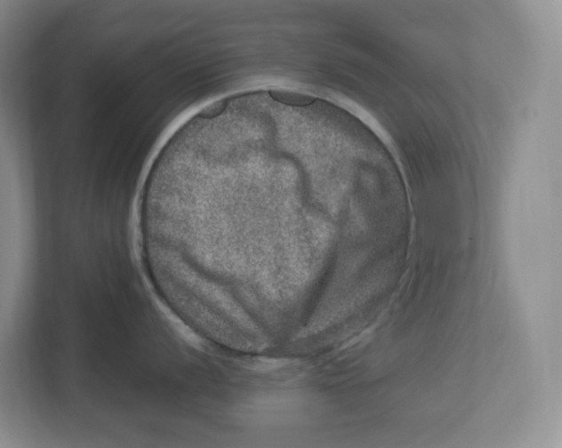 X0000112951056200909141404