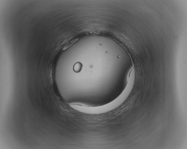 X0000112951060200909141403