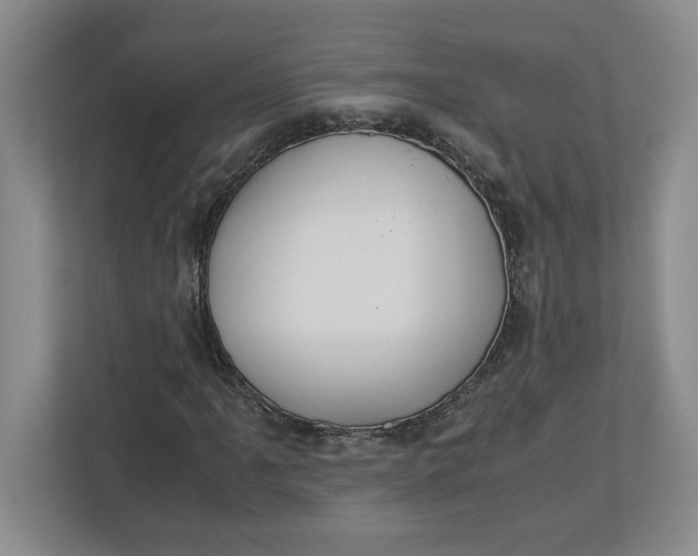 X0000112951061200909141403