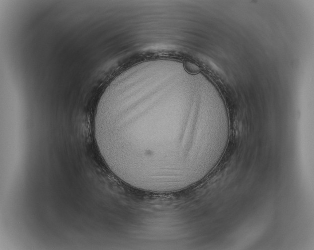 X0000112951062200909141403