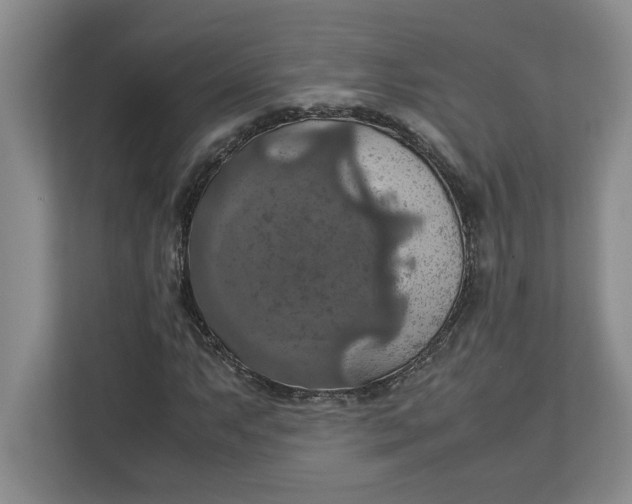 X0000112951063200909141403