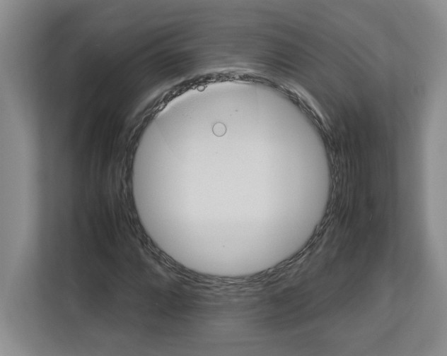 X0000112951064200909141403