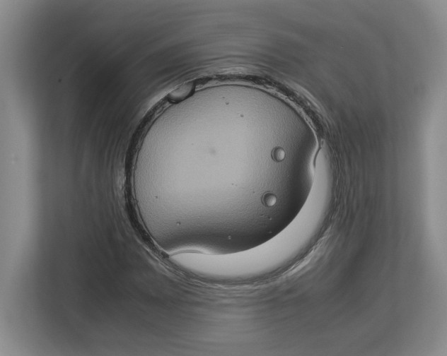 X0000112951065200909141403