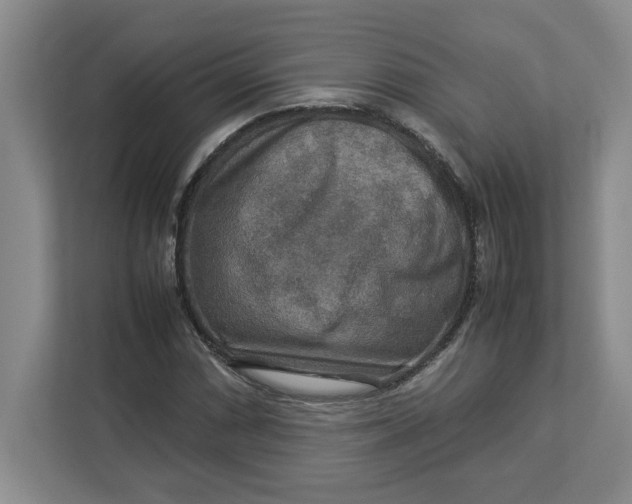 X0000112951066200909141403