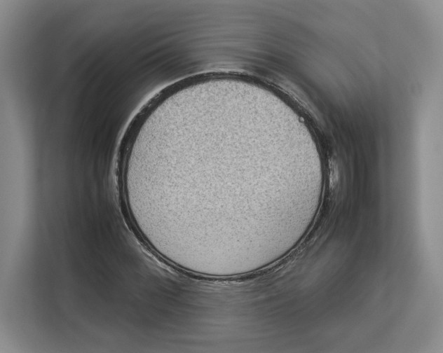 X0000112951068200909141403